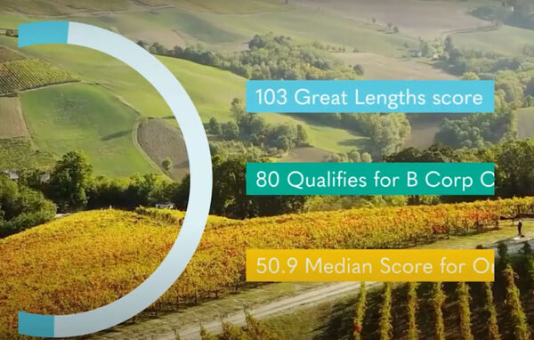 Beyond Hair Expectations: A Great Lengths Documentary